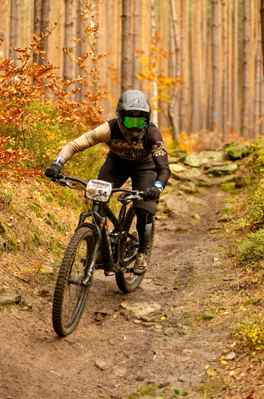 mountainbike downhill technik TECHNIK & TRAIL – MTB-Training mit Roy Bruns im Rabensteiner Wald